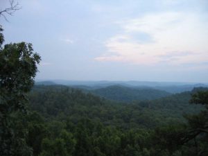 dog info and rules Daniel Boone national forest