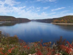 allegheny national forest dog pet info