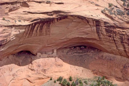 dog info and rules navajo national monuments