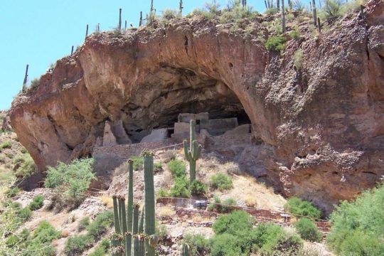 dog info and rules tonto national monuments