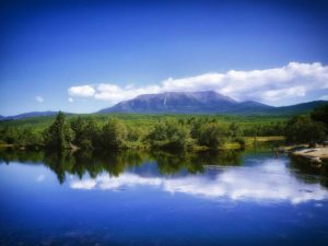 dog info and rules Katahdin Woods national monuments