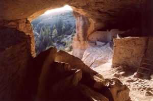 dog info and rules gila cliff dwellings national monuments