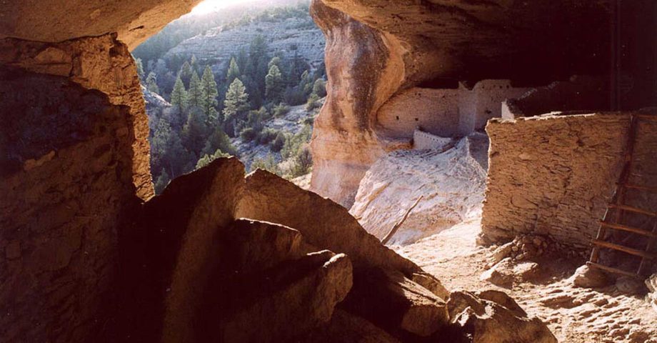 dog info and rules gila cliff dwellings national monuments