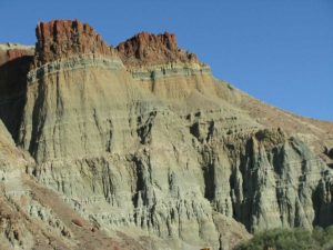 dog info and rules john day fossil beds national monument