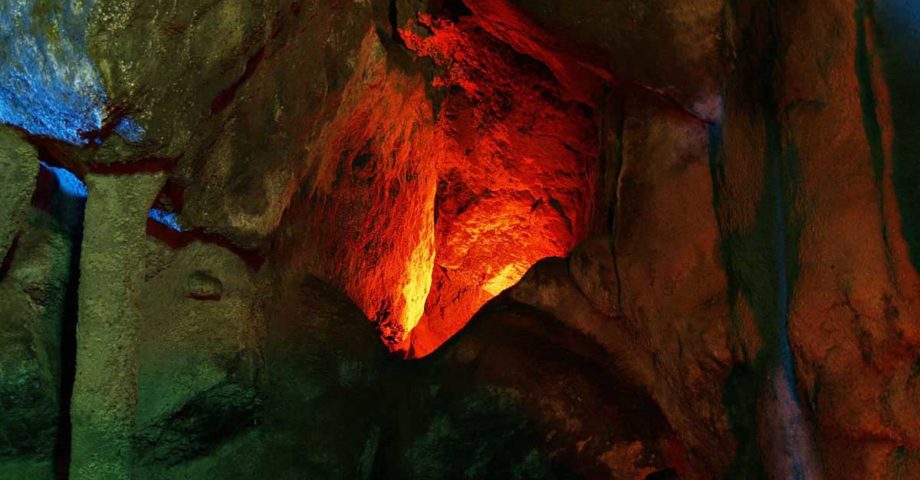 oregon caves dog pet info