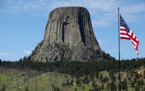 dog info and rules devils tower