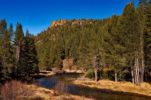 Dog info and rules Modoc National Forest
