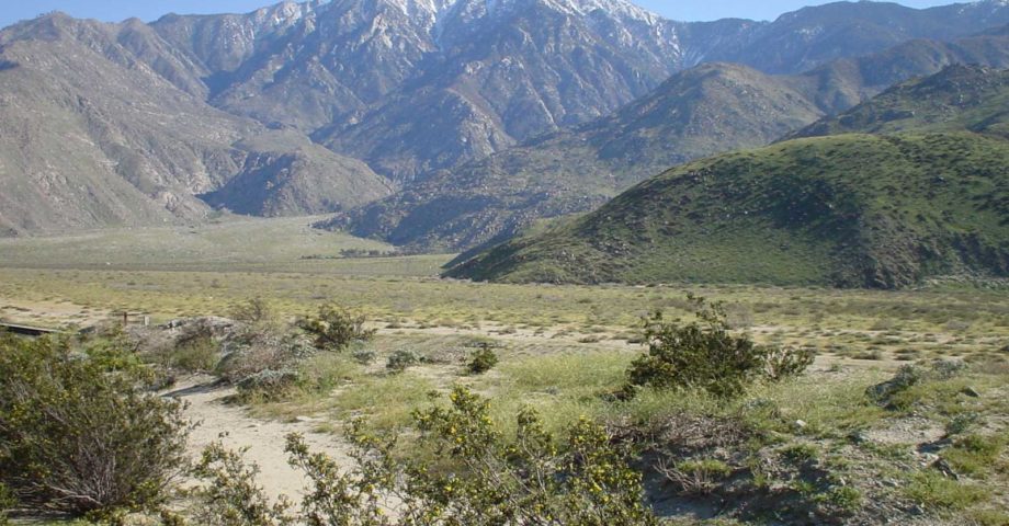Santa Rosa and San Jacinto Mountains National Monument dog info