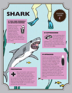 shark american animal safety tips