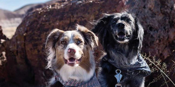 National Park Paws is dog info for American National Parks & protected ...