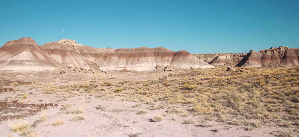 6 most dog friendly national parks Petrified forest national park 